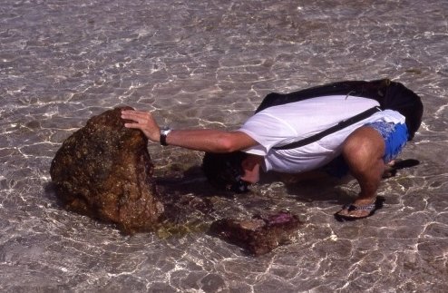 Fakarava Atoll Reef