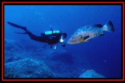 Scuba in France (2005) with Laurent Kbaier