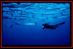 Scuba in France (2005) with Laurent Kbaier