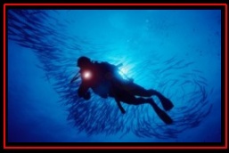 Scuba in France (2005) with Laurent Kbaier