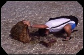 Shelling in the Tuamotu, 2002