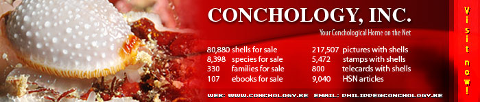 http://www.seashell-collector.com/pic/link_icon/conchbanner.jpg