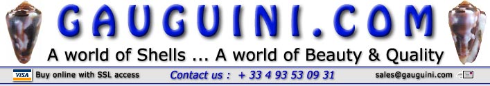 http://www.seashell-collector.com/pic/link_icon/gauguini_com.jpg