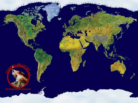 A World Of Collectors