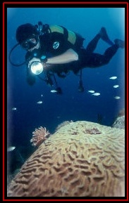 Scuba in Martinique 2001, Photo Credit : Laurent Kbaier
