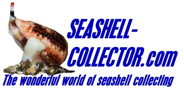 Forum Seashell-collector